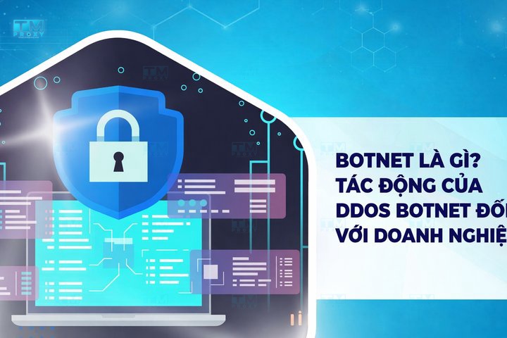 Botnet là gì? Tác động của DDoS Botnet đối với doanh nghiệp