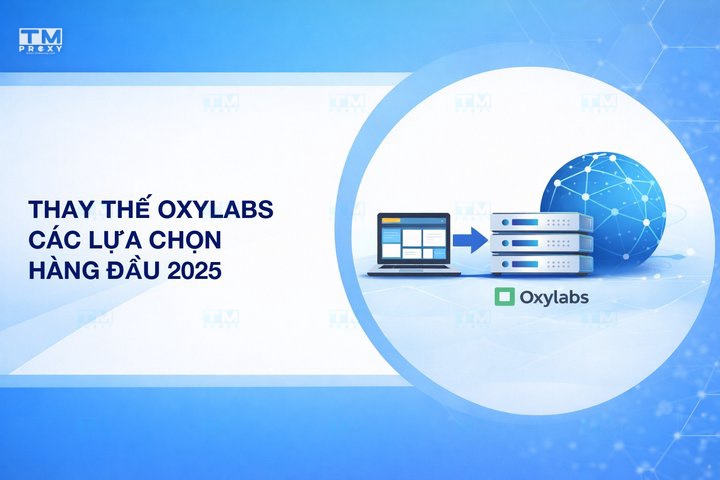 Featured image of post Oxylabs không phải là lựa chọn duy nhất: Khám phá các lựa chọn thay thế hàng đầu năm 2025