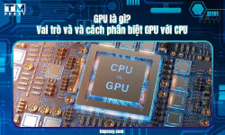 Featured image of post GPU là gì? Vai trò và và cách phân biệt GPU với CPU