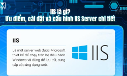 Featured image of post IIS là gì? Ưu điểm, cài đặt và cấu hình IIS Server chi tiết