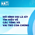 Mô hình OSI là gì? Quy trình hoạt động của mô hình OSI