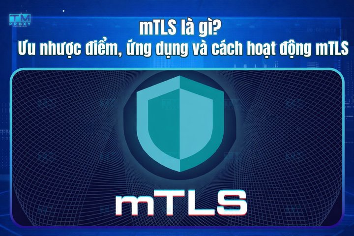 Featured image of post What is mTLS? Pros, Cons, Applications and How It Works