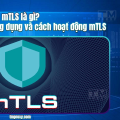 mTLS là gì? Ưu nhược điểm, ứng dụng và cách hoạt động mTLS