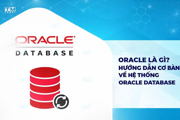Oracle là gì? Hướng dẫn cơ bản về hệ thống Oracle Database