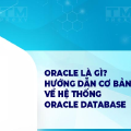 Oracle là gì? Hướng dẫn cơ bản về hệ thống Oracle Database