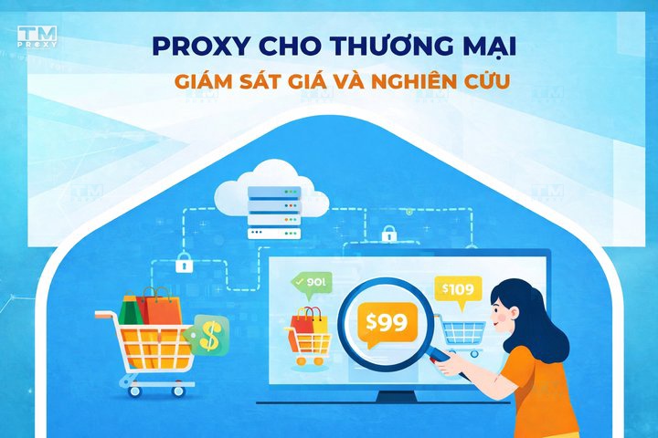 Proxy cho Thương mại điện tử: Giám sát giá và Nghiên cứu thị trường