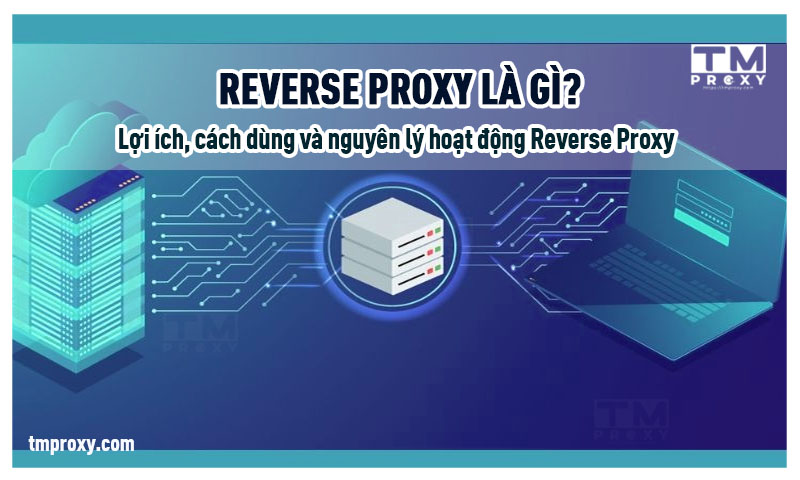 Featured image of post Reverse Proxy là gì? Lợi ích, cách dùng và nguyên lý hoạt động Reverse Proxy