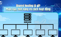 Featured image of post Shared Hosting là gì? Phân loại, tính năng và cách hoạt động