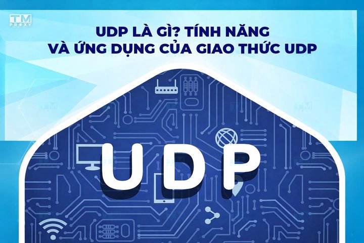 Featured image of post 什么是UDP？UDP协议的特点与应用