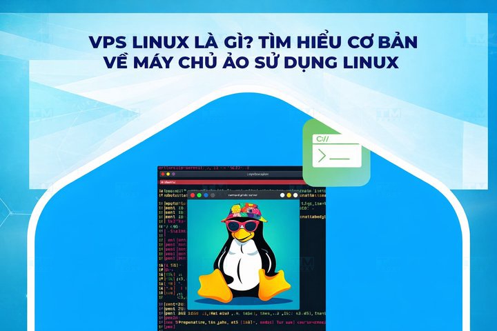 Featured image of post What is Linux VPS? A Basic Guide to Virtual Servers Running Linux