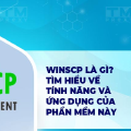 WinSCP là gì? Hướng dẫn cách sử dụng WinSCP đơn giản
