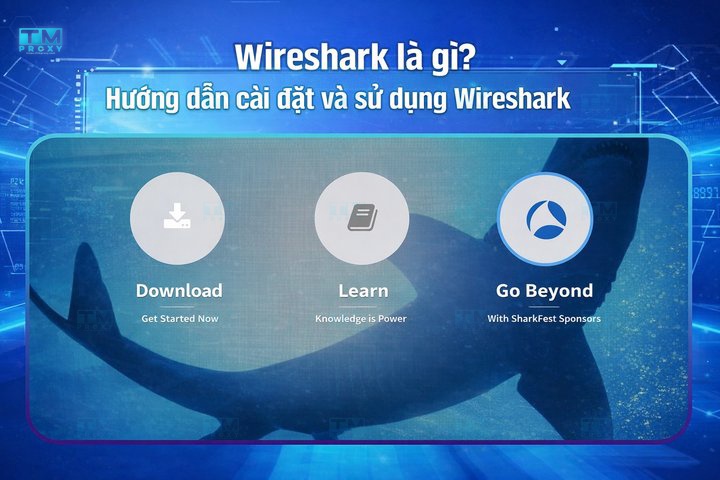 Wireshark là gì? Hướng dẫn cài đặt và sử dụng Wireshark